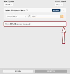 The Other x509 Extensions field dropdown.