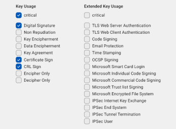 The Certificate Authority template with the relevant key and extended key usage checkboxes selected.