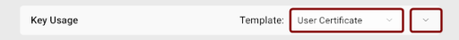 The Key Usage section with the Template dropdowns highlighted.