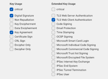 The Open VPN template with the relevant key and extended key usage checkboxes selected.