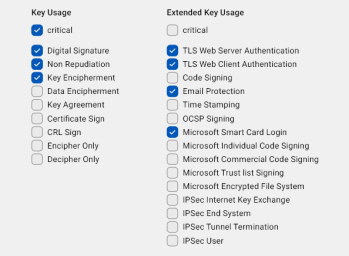 The User Certificate template with the relevant key and extended key usage checkboxes selected.