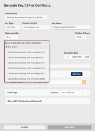 The Basic Constraint dropdown options highlighted.