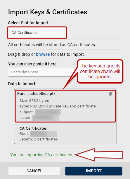 Screenshot of the Import Keys & Certificates dialog with an ignored key pair and certificate chain