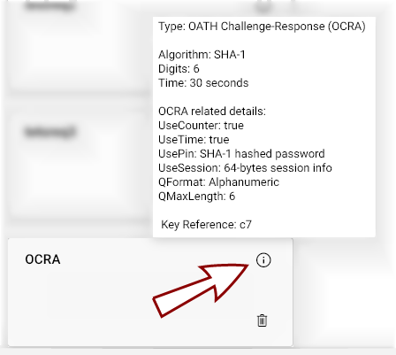 One-Time Password tile with the information icon highlighted and details displayed.